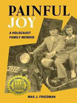 cover image of Painful Joy